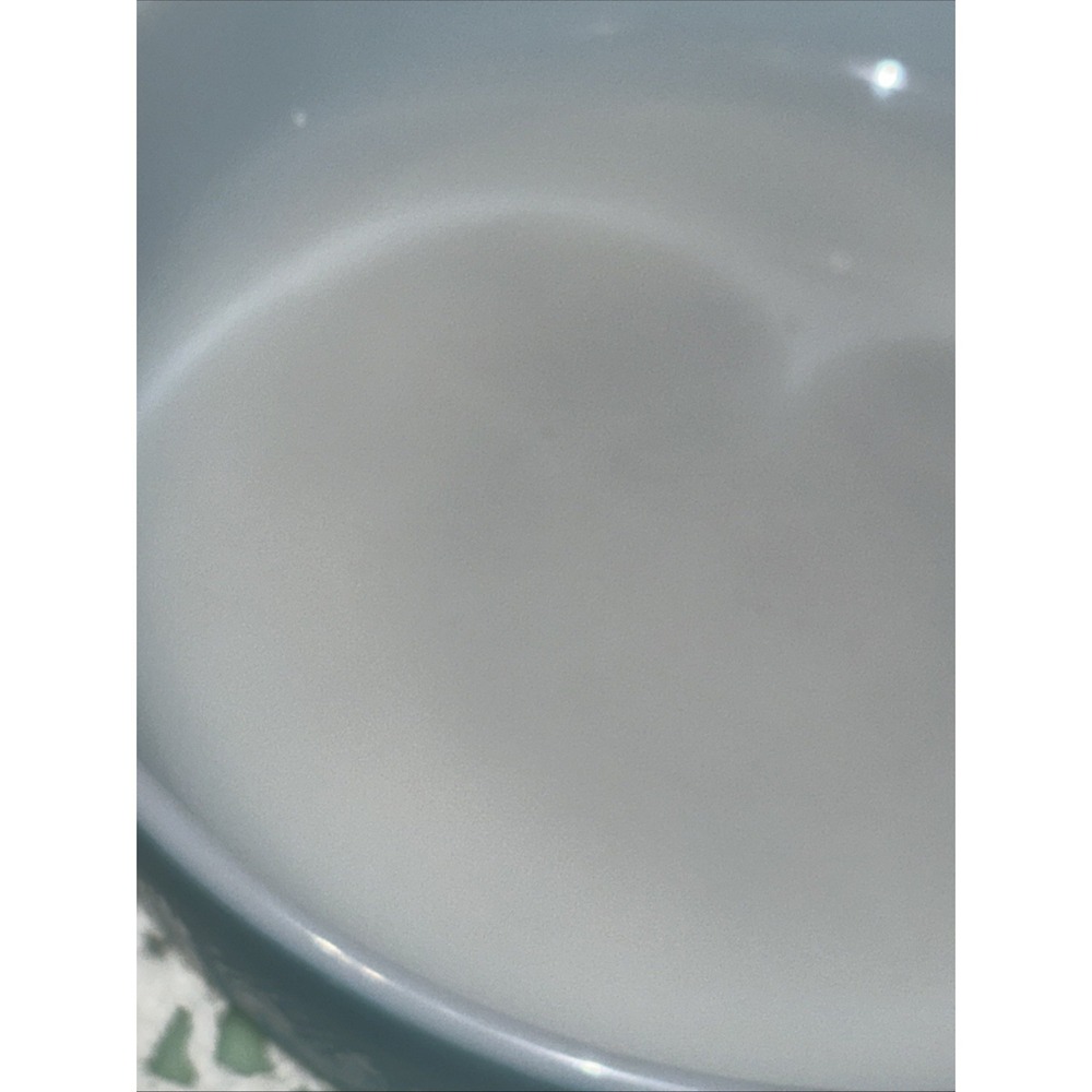 Pyrex Butterprint Casserole Set 471-475 w/Lids 1959-1968 - Picture 11 of 13